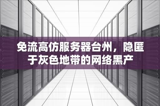 免流高仿服务器台州，隐匿于灰色地带的网络黑产