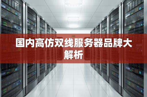 国内高仿双线服务器品牌大解析