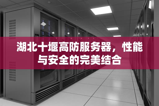 湖北十堰高防服务器，性能与安全的完美结合