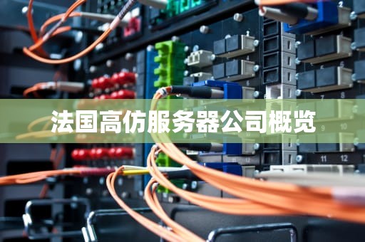 法国高仿服务器公司概览