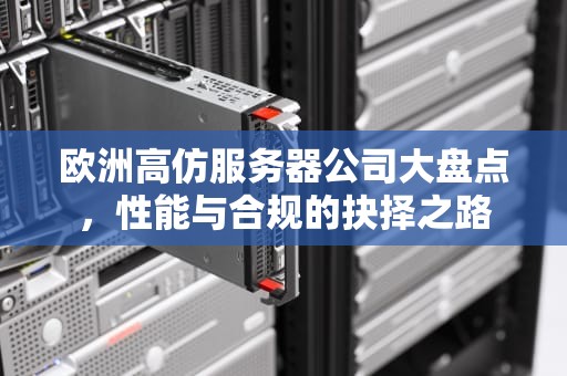 欧洲高仿服务器公司大盘点，性能与合规的抉择之路
