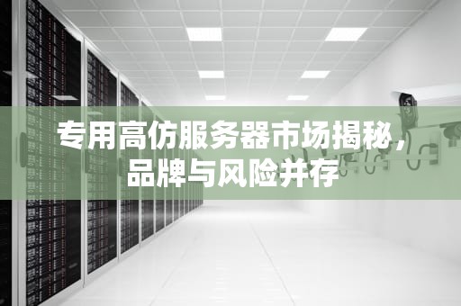 专用高仿服务器市场揭秘，品牌与风险并存