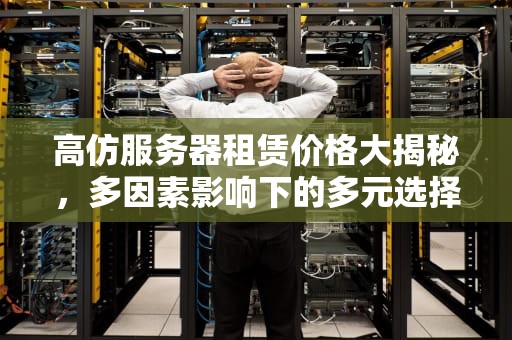 高仿服务器租赁价格大揭秘，多因素影响下的多元选择