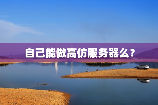 自己能做高仿服务器么？