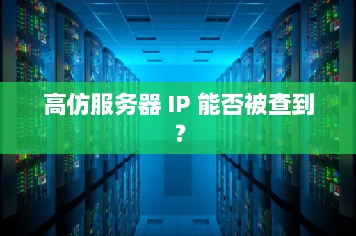 高仿服务器 IP 能否被查到？