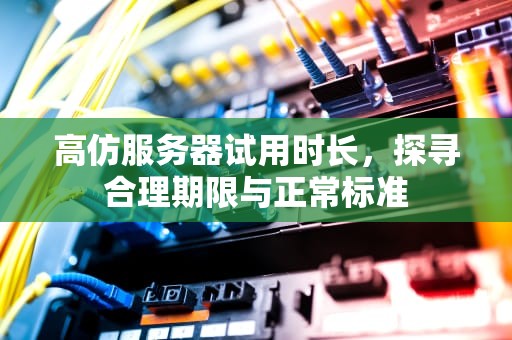 高仿服务器试用时长，探寻合理期限与正常标准