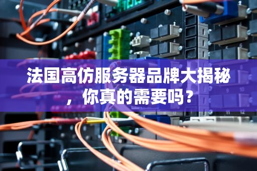 法国高仿服务器品牌大揭秘，你真的需要吗？