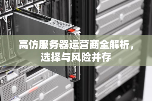 高仿服务器运营商全解析，选择与风险并存