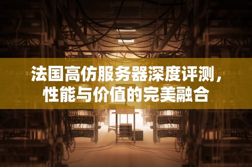 法国高仿服务器深度评测，性能与价值的完美融合