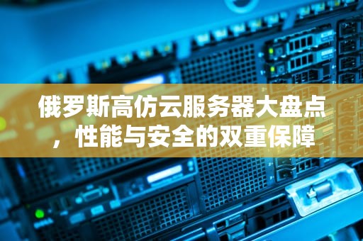 俄罗斯高仿云服务器大盘点，性能与安全的双重保障