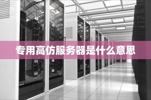 专用高仿服务器是什么意思