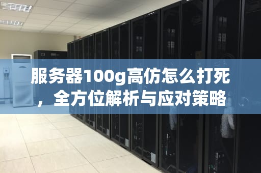 服务器100g高仿怎么打死，全方位解析与应对策略