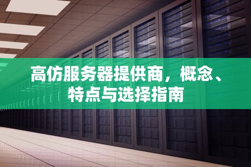 高仿服务器提供商，概念、特点与选择指南