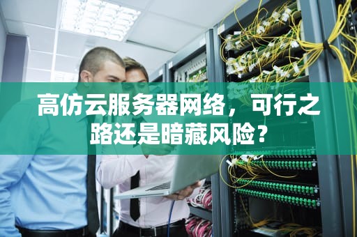 高仿云服务器网络，可行之路还是暗藏风险？