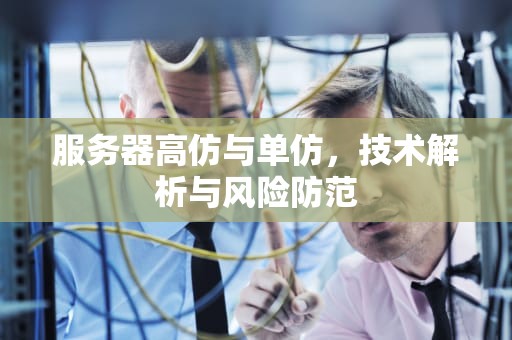 服务器高仿与单仿，技术解析与风险防范