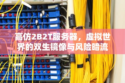 高仿2B2T服务器，虚拟世界的双生镜像与风险暗流