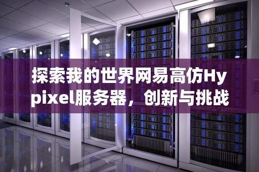探索我的世界网易高仿Hypixel服务器，创新与挑战并存