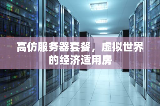高仿服务器套餐，虚拟世界的经济适用房