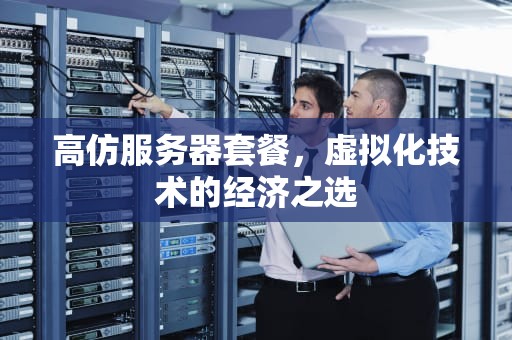 高仿服务器套餐，虚拟化技术的经济之选
