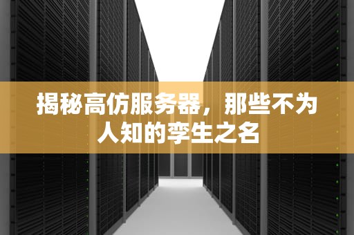 揭秘高仿服务器，那些不为人知的孪生之名