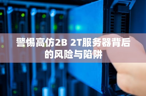 警惕高仿2B 2T服务器背后的风险与陷阱