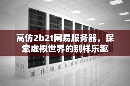 高仿2b2t网易服务器，探索虚拟世界的别样乐趣