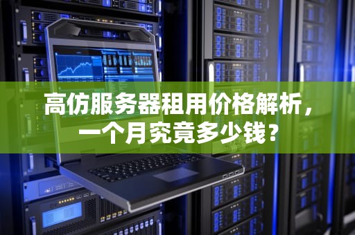 高仿服务器租用价格解析，一个月究竟多少钱？