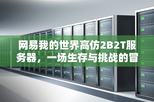 网易我的世界高仿2B2T服务器，一场生存与挑战的冒险之旅