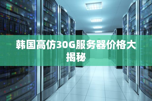 韩国高仿30G服务器价格大揭秘