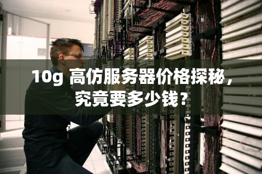 10g 高仿服务器价格探秘，究竟要多少钱？