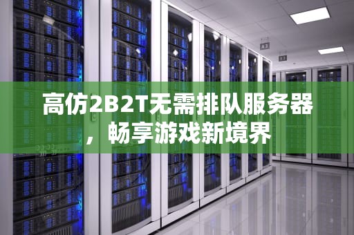 高仿2B2T无需排队服务器，畅享游戏新境界