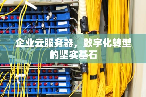 企业云服务器，数字化转型的坚实基石