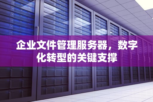 企业文件管理服务器，数字化转型的关键支撑