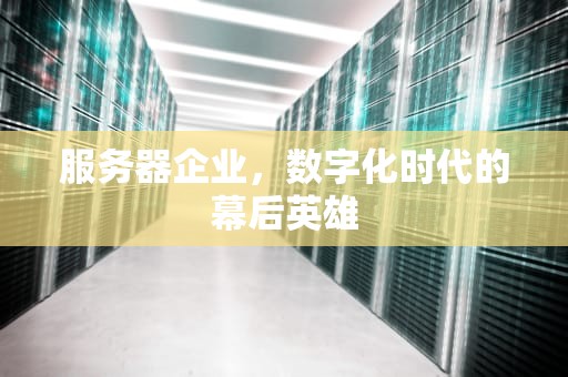 服务器企业，数字化时代的幕后英雄