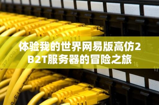 体验我的世界网易版高仿2B2T服务器的冒险之旅