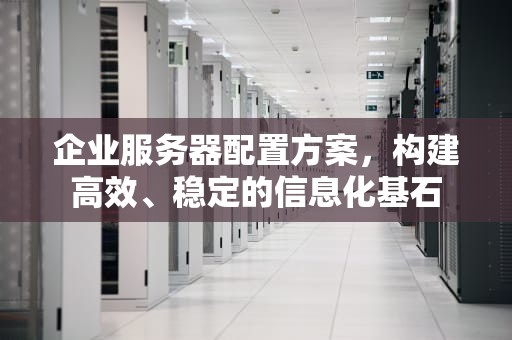 企业服务器配置方案，构建高效、稳定的信息化基石