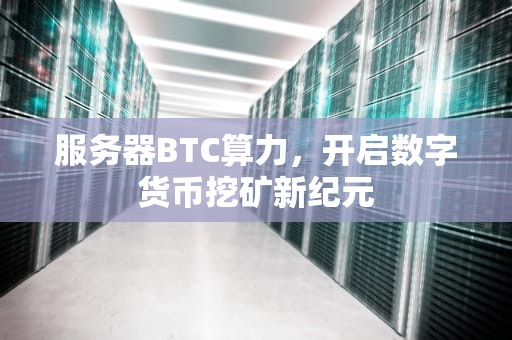 服务器BTC算力，开启数字货币挖矿新纪元