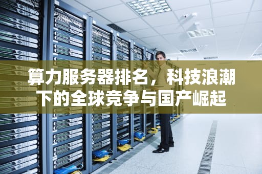 算力服务器排名，科技浪潮下的全球竞争与国产崛起