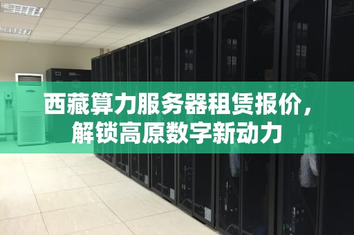 西藏算力服务器租赁报价，解锁高原数字新动力
