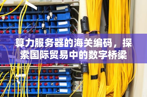 算力服务器的海关编码，探索国际贸易中的数字桥梁