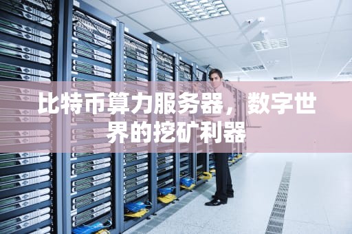 比特币算力服务器，数字世界的挖矿利器