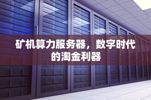 矿机算力服务器，数字时代的淘金利器