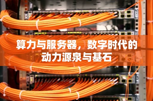 算力与服务器，数字时代的动力源泉与基石