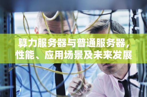 算力服务器与普通服务器，性能、应用场景及未来发展的深度剖析