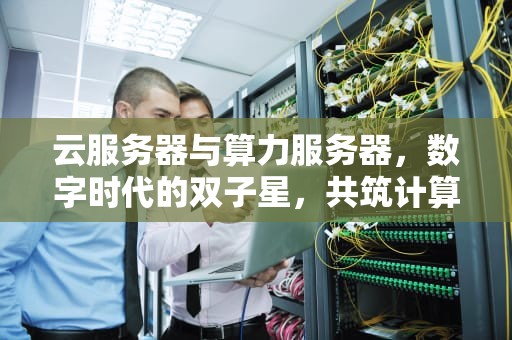 云服务器与算力服务器，数字时代的双子星，共筑计算新生态