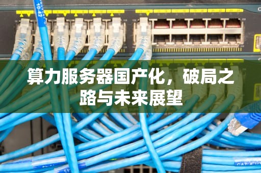 算力服务器国产化，破局之路与未来展望