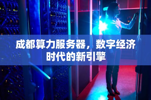 成都算力服务器，数字经济时代的新引擎