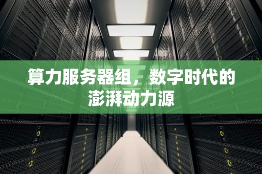 算力服务器组，数字时代的澎湃动力源