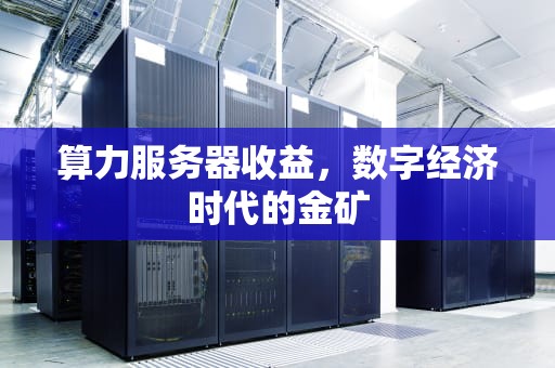 算力服务器收益，数字经济时代的金矿