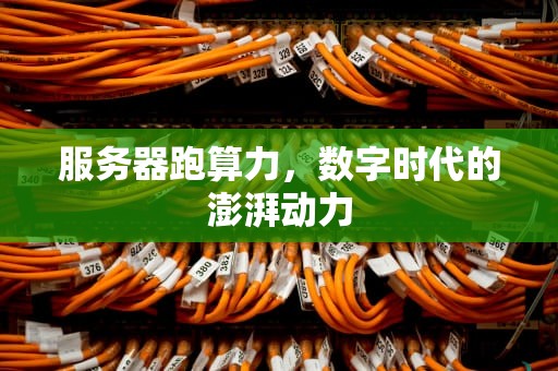 服务器跑算力，数字时代的澎湃动力